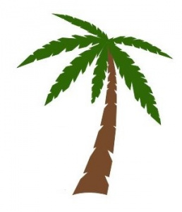 Piirroskuva palmupuusta